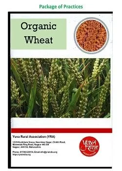 Organic Wheat